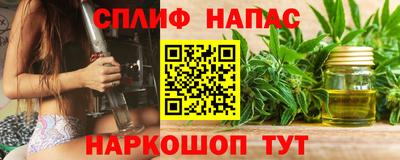 сатива Камышлов