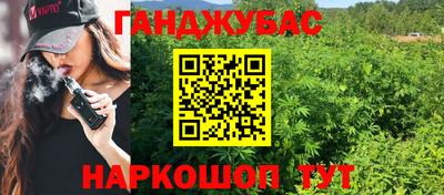 сатива Камышлов