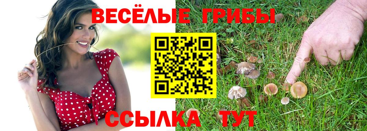 Югорск  Галлюциногенные грибы мухоморы  Вход с VPN 